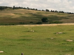 Monday-Tuesday Pine Ridge 2013 087