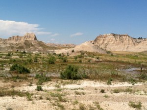 Monday-Tuesday Pine Ridge 2013 090