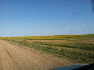 Monday-Tuesday Pine Ridge 2013 111