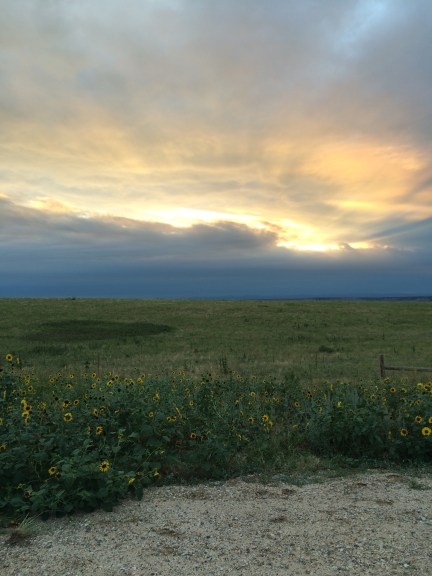 August 6 2016 059.JPG