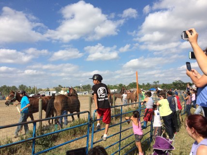 August 7 2016 052.JPG