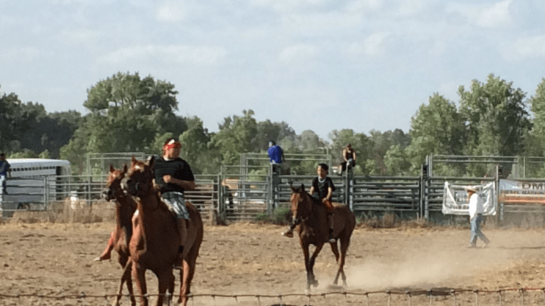 August 7 2016 060.PNG